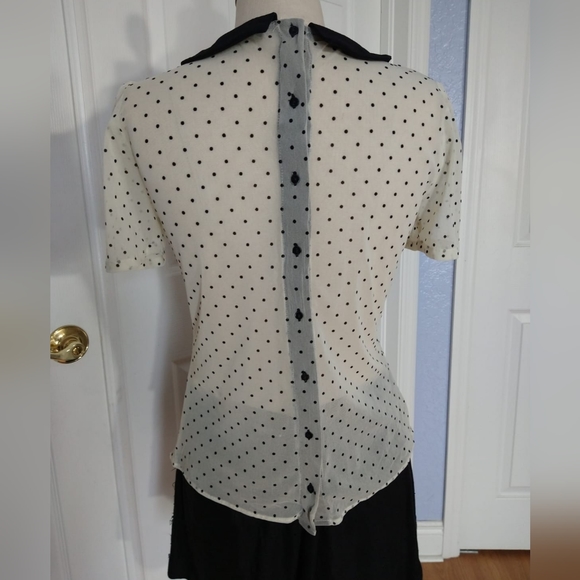 Zara Tulle Polka Dot Blouse - Picture 3 of 8